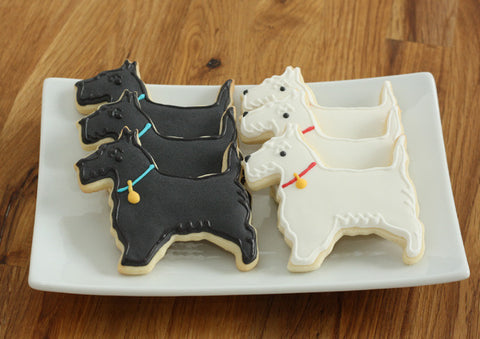 Scottish Terrier